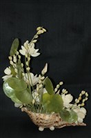 藏品(貝殼花)的圖片